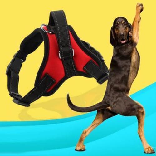 Dog Harness Vest - Dog harness