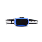 Dog Training Collar Shock or No Shock color BLUE - Dog Training Collar Shock or No Shock