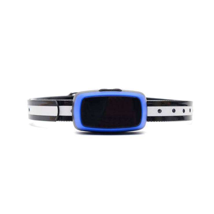 Dog Training Collar Shock or No Shock color BLUE - Dog Training Collar Shock or No Shock