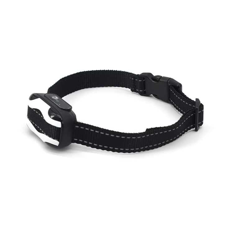 Dog Training Collar with remote Shock or No Shock color WHITE - Remote Control Dog Training Collar