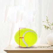 6 x Dog Tennis Balls Replacement Exercise Trainer Launcher Thrower